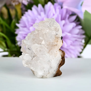 Décoration hérisson en quartz naturel et bois sculpté à la main